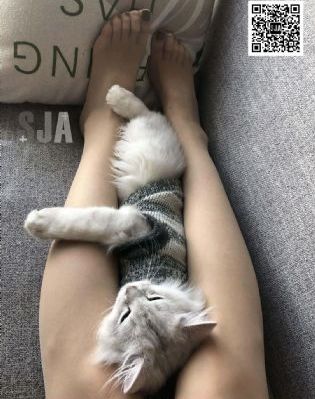 《良辰好景知几何》电视剧