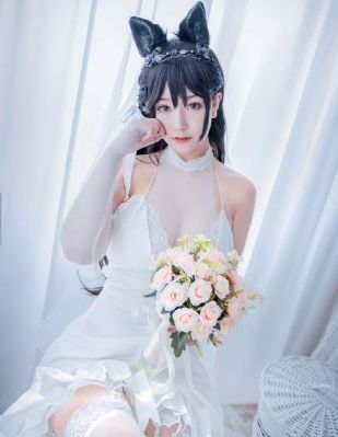 王朝的女人杨贵妃视频完整版