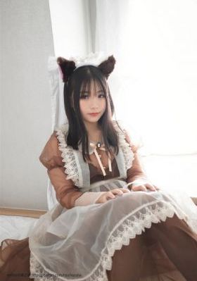 所有视频