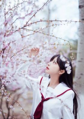 乱世儿女国语免费观看